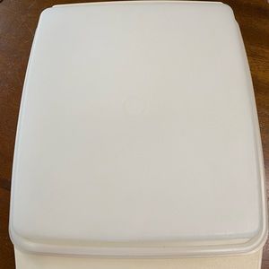 Vintage Tupperware Devil Egg Keeper !